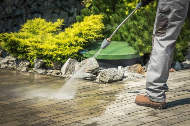 Best Pool Deck Cleaning in Wabasha, MN