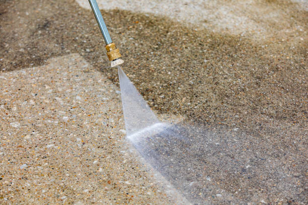 Best Vinyl Siding Pressure Washing in Wabasha, MN